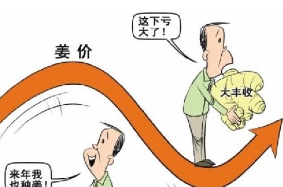 “姜你軍”跌的最狠 是咋回事呢？