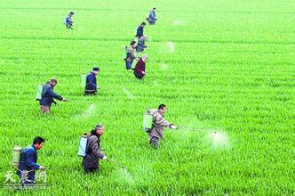 如何突破農(nóng)藥行業(yè)低端過剩高端不足的困局？