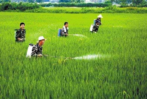 農資市場魚龍混雜，抗性真的有宣傳的那么嚴重嗎？