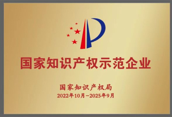 祝賀！集團獲評2022年度國家知識產(chǎn)權示范企業(yè)