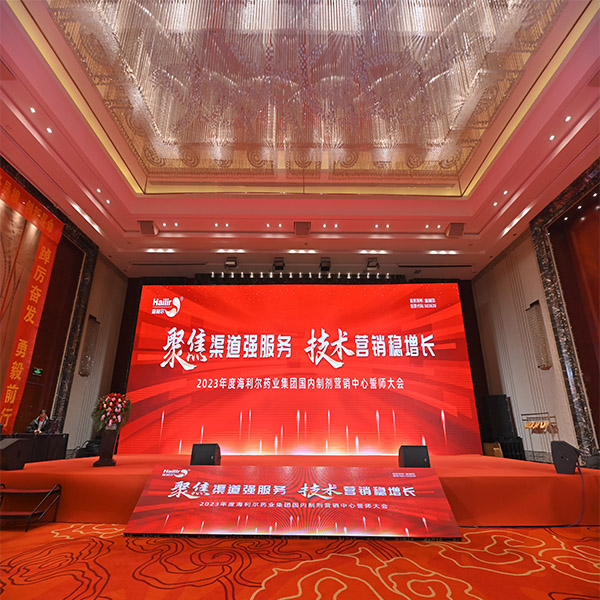 集團(tuán)國內(nèi)制劑營銷中心2023年誓師大會隆重召開