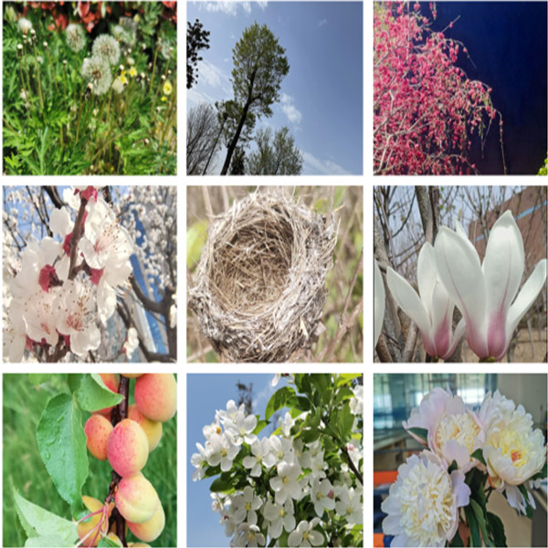 滕潤翔“向上的力量，怒放的生命”主題活動(dòng)落地  