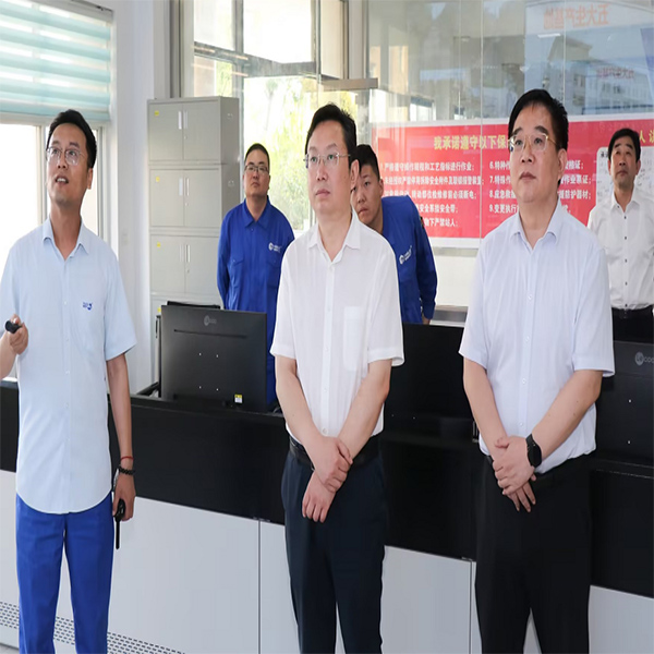 濰坊市副市長狄波來山東海利爾調(diào)研指導